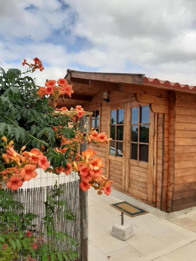 Quinta Do Pinheiro Hotel Grandola Bagian luar foto